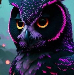 Meet your Posher, Diana